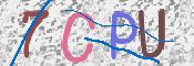 CAPTCHA 驗證圖片